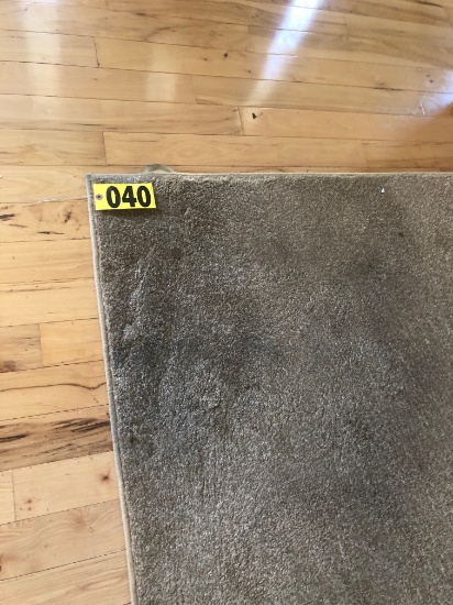 12.5' x10' area rug  - NO SHIPPING NO SHIPPING