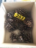 Crafting pine cones  NO SHIPPING
