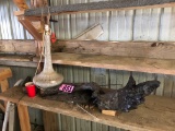 Driftwood & lamp  NO SHIPPING