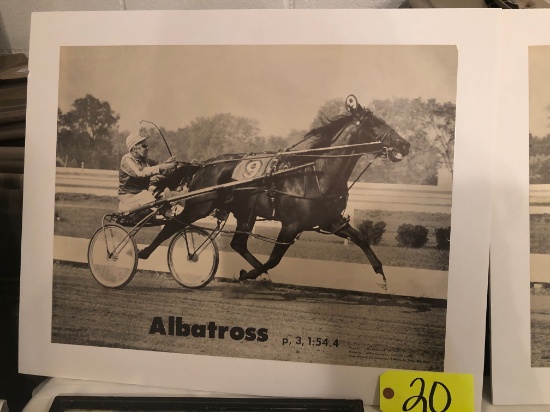 Albatross mounted poster on board w/ Stanley Dancer driving, approx. 22x17"