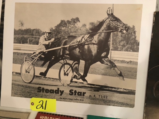 Steady Star mounted poster on board w/ Joe O'Brien driving, apporx. 22x17"