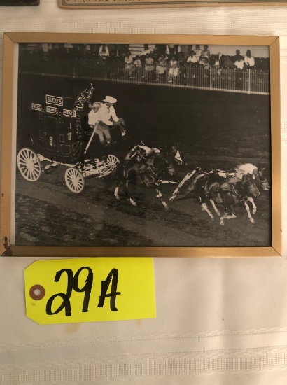 Buchy's advertising pony hitch picture, Robert Beisner & Son, Dayton Horse Show 1959, framed