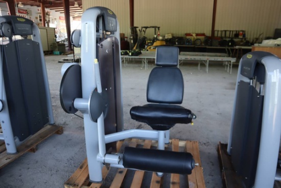 TechnoGym Leg Extension