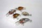 Assorted Bagley Lures (5)