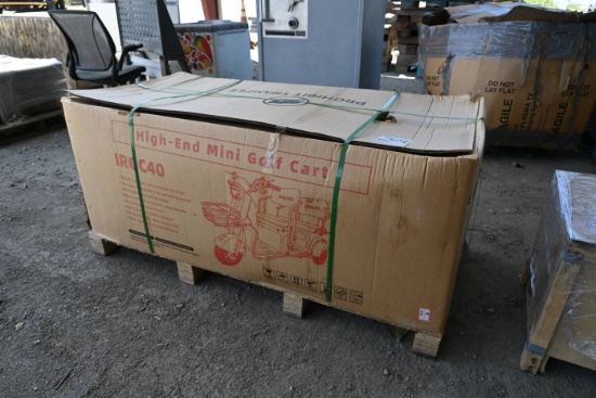 2026 IRGC40 High End Mini Golf Cart