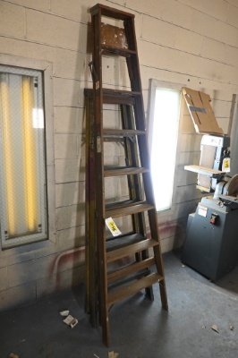 Step Ladders (2)