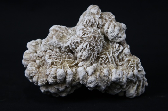 DESERT ROSE SELENITE FORMATION