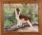 PETERS MOWEN WELSH SPRINGER SPANIEL OIL ON CANVAS