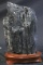 LARGE BLACK TOURMALINE ON WOOD STAND