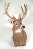 WHITETAIL BUCK MOUNT