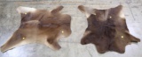 LOT OF TWO ANIMAL SKINS