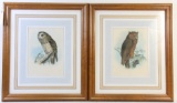 PAIR OF ANTIQUE J. WOLF OWL ENGRAVINGS