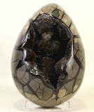 HUGE 31LBS SEPTARIAN EGG