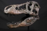 CAST RESIN DINOSAUR SKULL MOUNTED ON METAL BASE