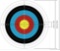 30 PC. PAPER ARCHERY TARGETS 16