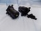 TWO 7 TO 5 TRAILER ADAPTERS WITH ALARM
