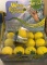 (72) WAVERUNNER MEGA WATER BALL $9.99 RETAIL EACH