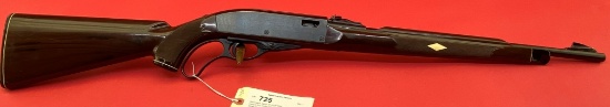 Remington Nylon 76 .22LR Rifle