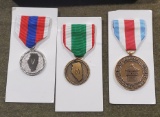 3 - Illinois National Guard Medal