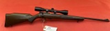 Winchester 320 .22sllr Rifle