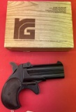 RG Ind RG 16 .22 Mag Pistol