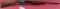 Winchester 12 12 ga Shotgun