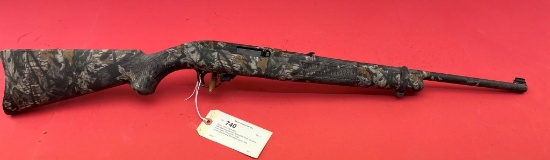 Ruger 10/22 .22LR Rifle