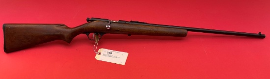 Stevens 83 22SLLR Rifle