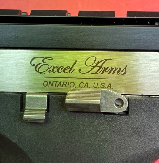 Excel Arms Mp-22 .22 Mag Pistol