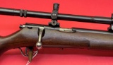 Savage 19 .22lr Rifle