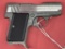 AMT Back Up .380 Pistol