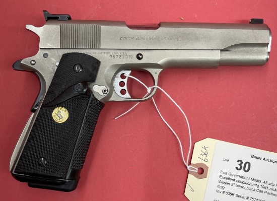 Colt Government Model .45 acp Pistol