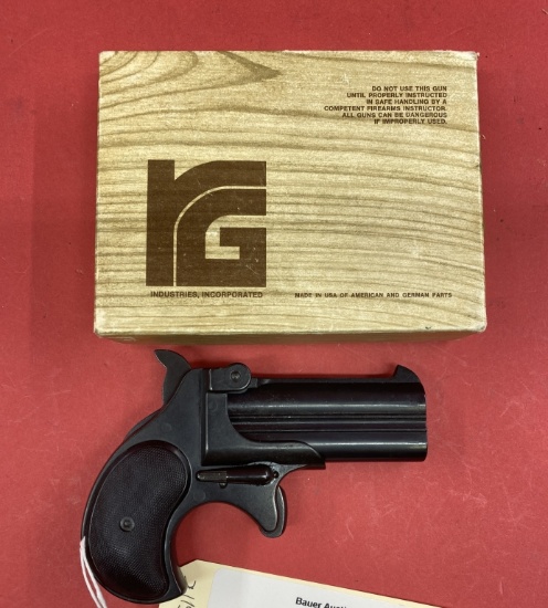 RG Ind RG15 .22 Mag Pistol
