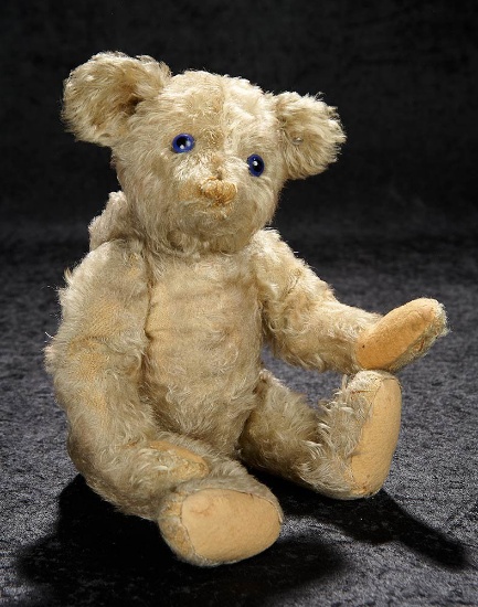 Wonderful German Mohair Blue-Eyed "Petsy" Bear by Steiff  8000/11,000