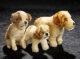 A Trio of German Mohair St. Bernard Dogs by Steiff 700/1000