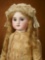 Exhibition Size French Bisque Bebe, Figure B, by Jules Steiner with Beautiful Costume 7000/8500