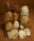 Large Lot of Fine Antique French and German Doll Wigs 700/1000