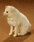 Early German Mohair and Felt Dog by Steiff 1100/1300