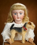 German Bisque Child, 1249, by Simon and Halbig in Grand Size 900/1300