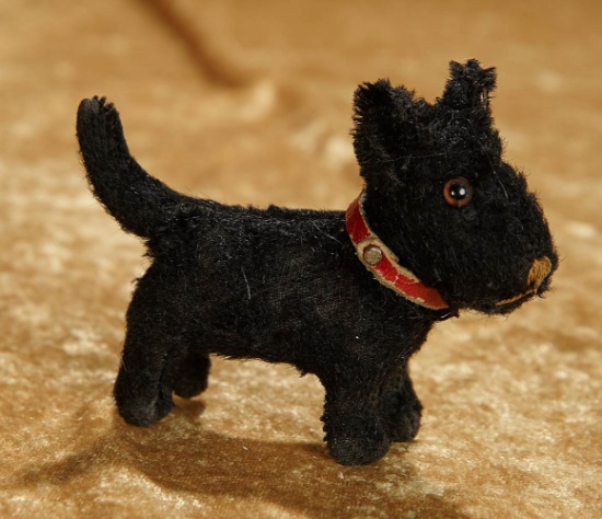 4" Tiny German black mohair Scotty with red leatherette collar. $200/300
