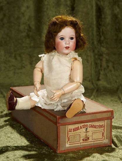 16" French bisque toddler, 251, by SFBJ with rare original labeled box. $1100/1300