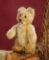 German Miniature Mohair Teddy Baby by Steiff, US Zone 200/400