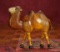 American Wooden Glass-Eyed Bactrian Camel 600/800