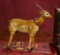 American Wooden Glass-Eyed Gazelle by Schoenhut 500/700