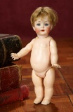 German Bisque Toddler, 126, by Kammer and Reinhardt with Toddler Body 400/600