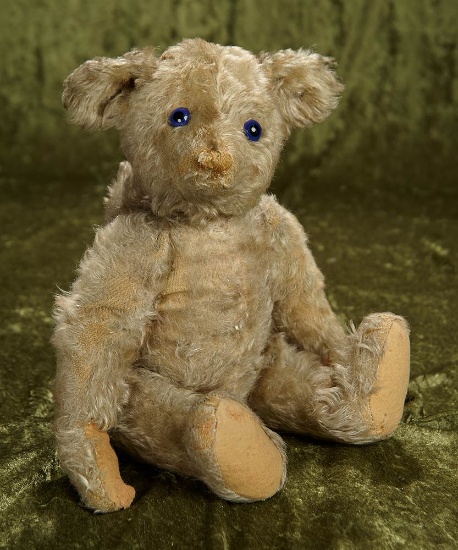 18" Very Rare German Mohair Blue-Eyed "Petsy" Bear by Steiff. $2500/3500