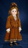 Lovely French Bisque Bebe, Series C, by Jules Steiner in Brown Velvet Costume 2800/3500