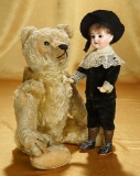 Early German Mohair Teddy by Steiff with Button in Ear 300/500