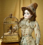 Petite French Mechanical Singing Bird in Cage Attributed to Bontems 1500/1800