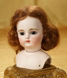 French Bisque Bebe Head by Gaultier, Early Block Letter Model 2200/2600